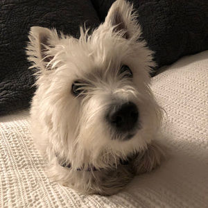 Meet your Posher, Christine